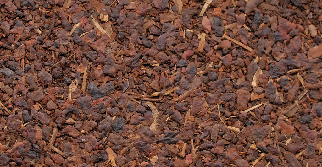 0142 Corteccia Grossolana_detail