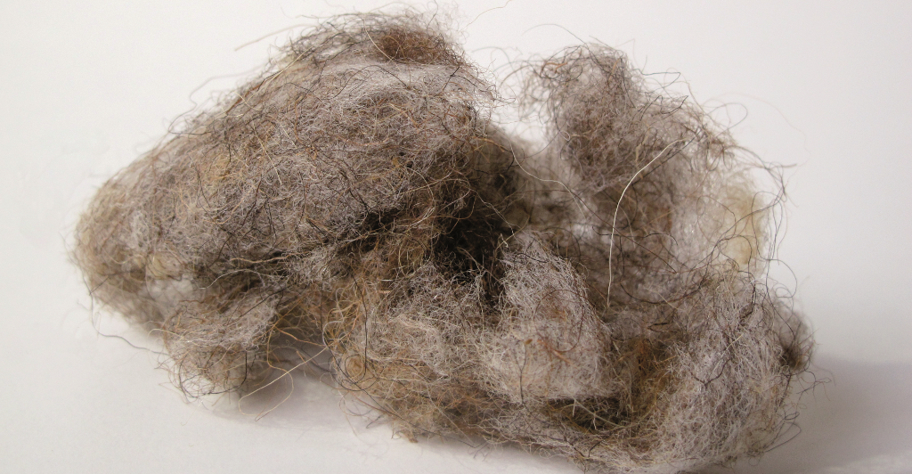 0149 LANA DI PECORA ALPINA materiale
